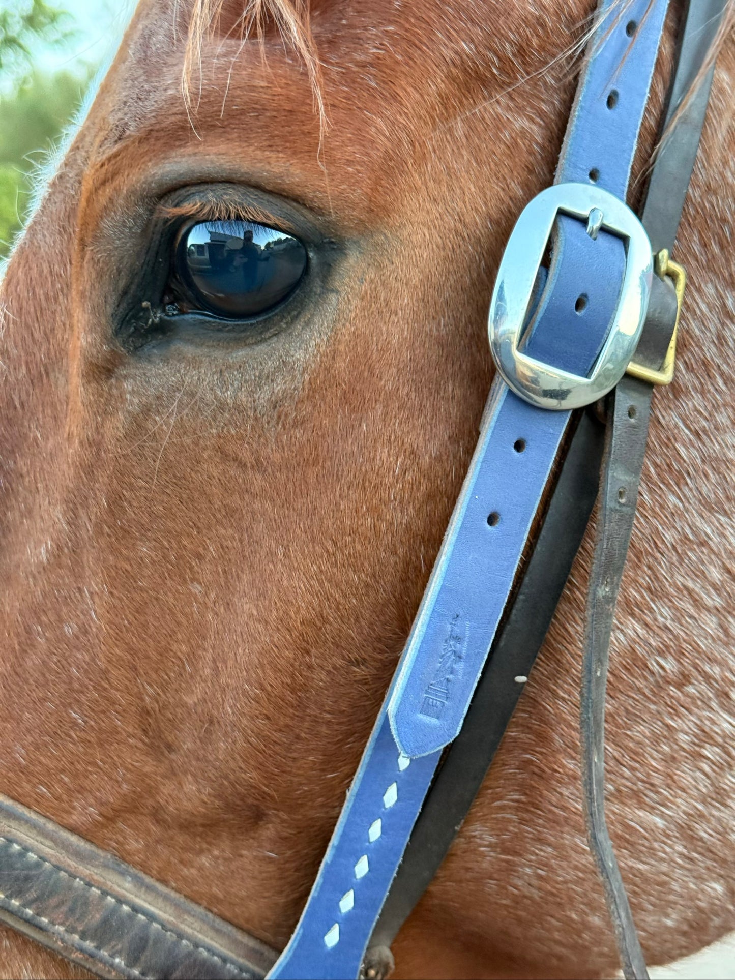 Lady Liberty Headstall