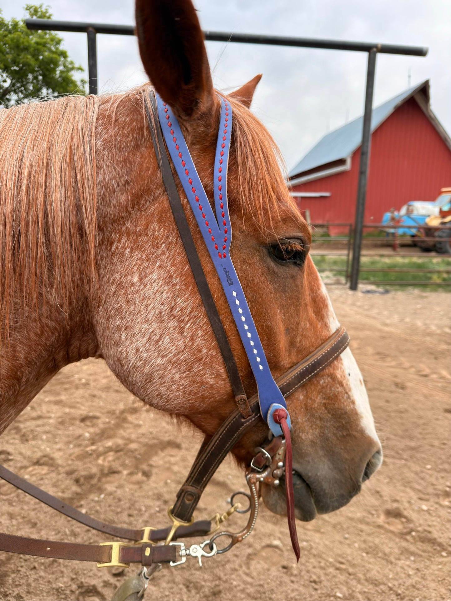 Lady Liberty Headstall
