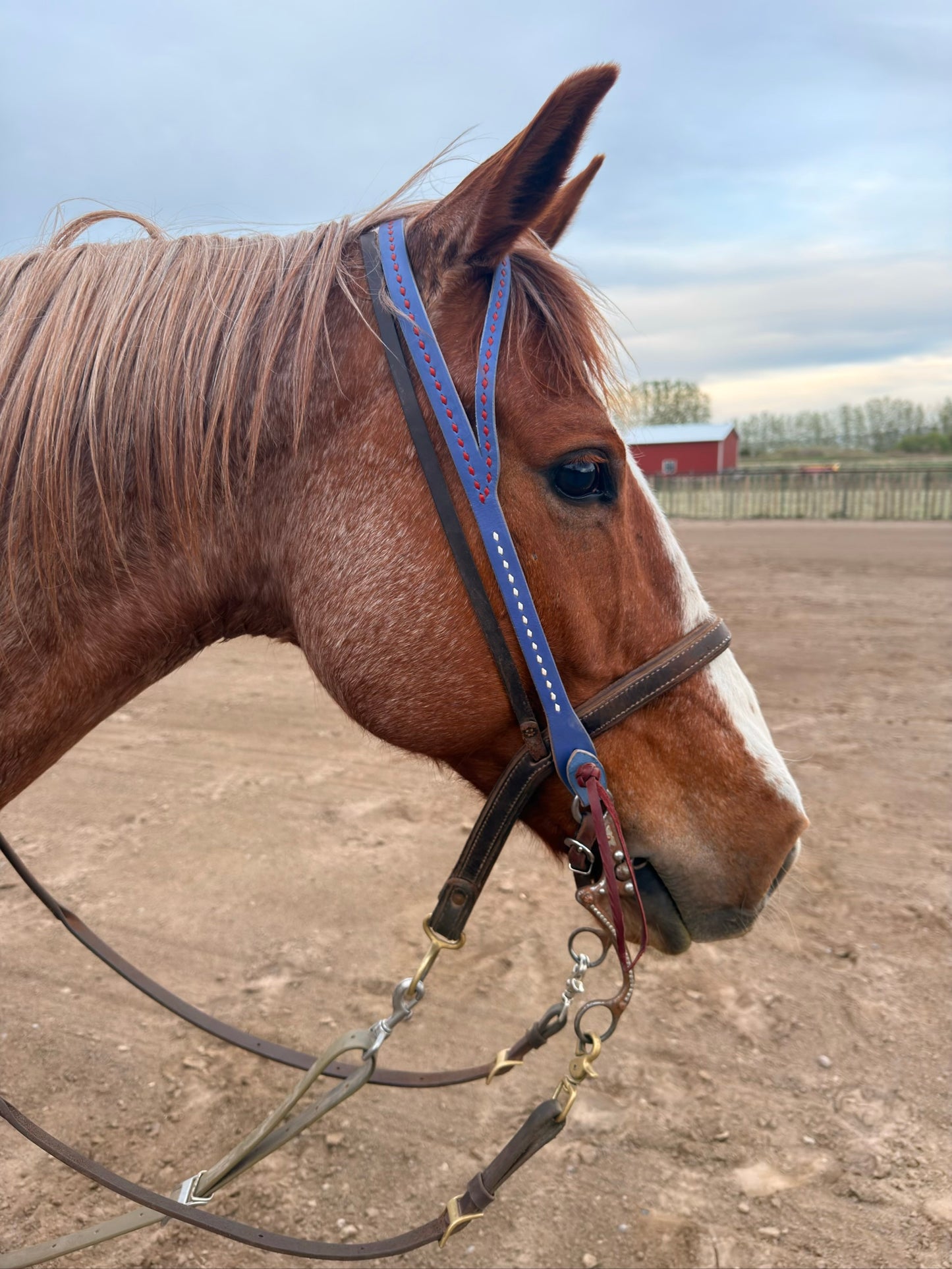 Lady Liberty Headstall