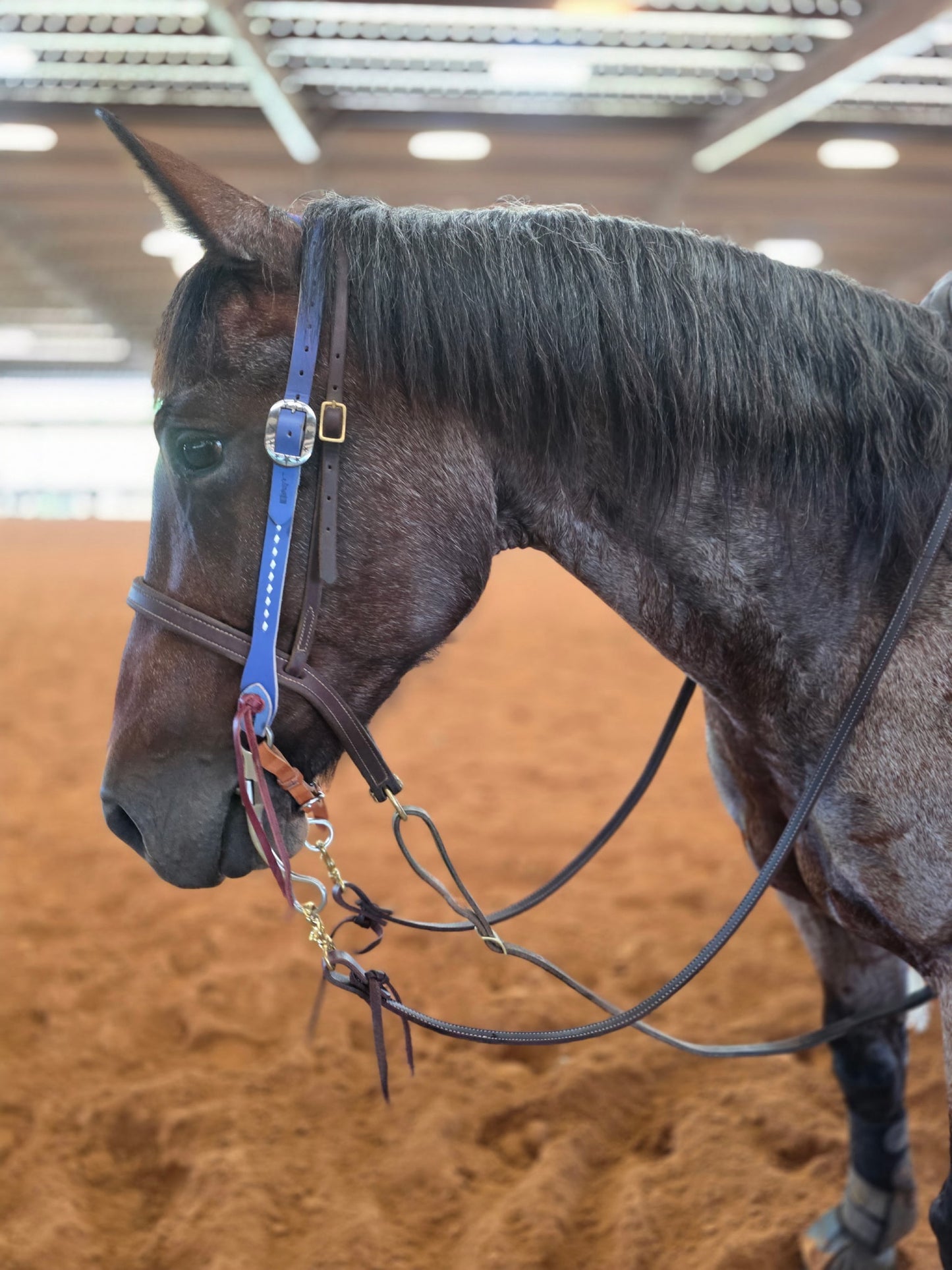 Lady Liberty Headstall