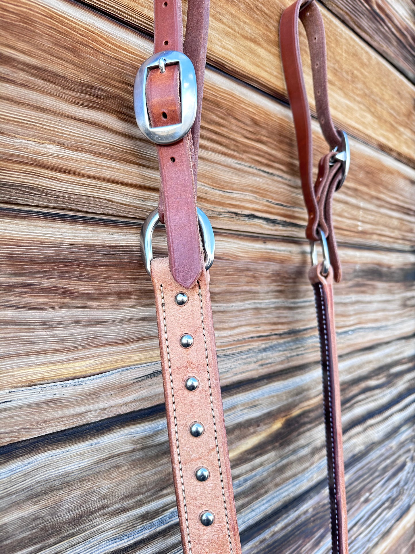 Standard size breast collar with spots