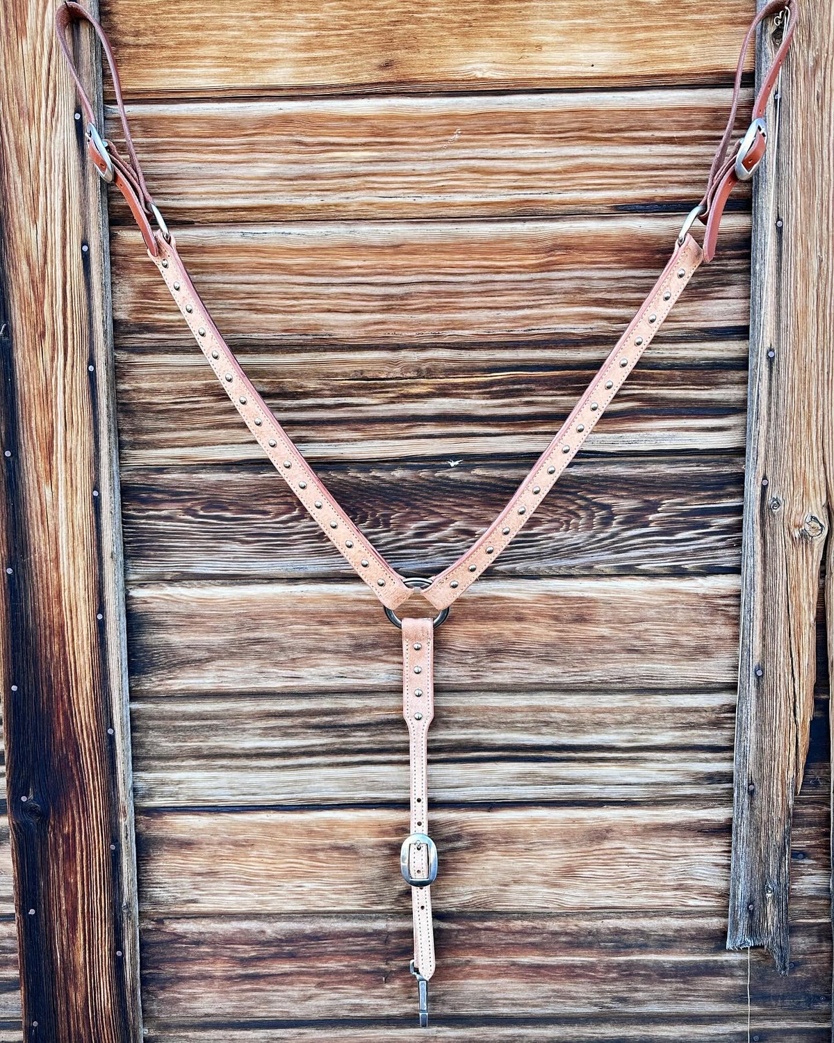 Standard size breast collar with spots