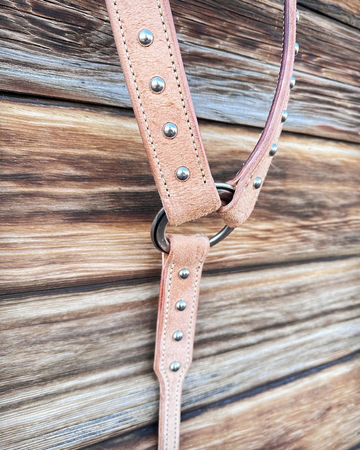 Standard size breast collar with spots